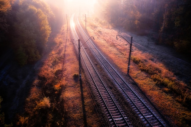 Widok na jesienny las kolejowy z wysokości