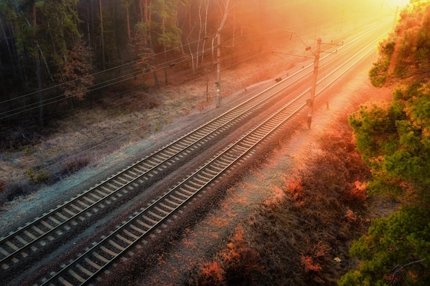 Widok na jesienny las kolejowy z wysokości