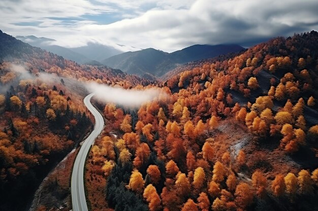 widok na jesienny las w górach z góry, strzelający z drogi helikopterowej