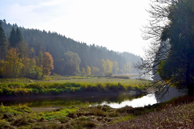 Zdjęcie widok na jezioro i drzewa na tle nieba