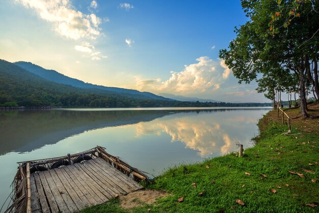 Widok na jezioro i drzewa na tle nieba