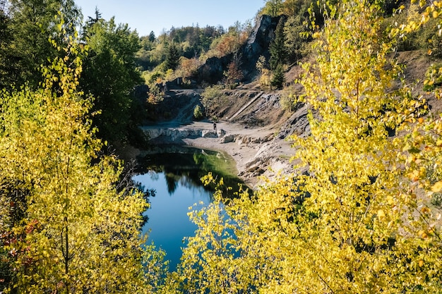 Zdjęcie widok na jezioro i drzewa