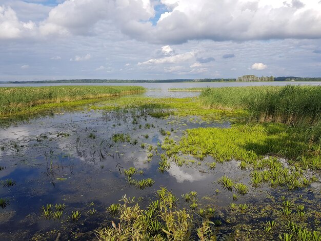 Zdjęcie widok na jezioro na tle chmurnego nieba