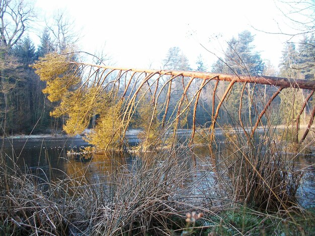 Widok na jezioro na tle nieba