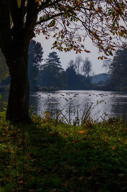 Widok na jezioro na tle nieba