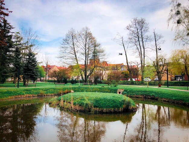 Zdjęcie widok na jezioro na tle nieba