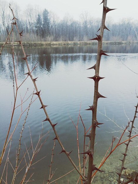 Zdjęcie widok na jezioro na tle nieba