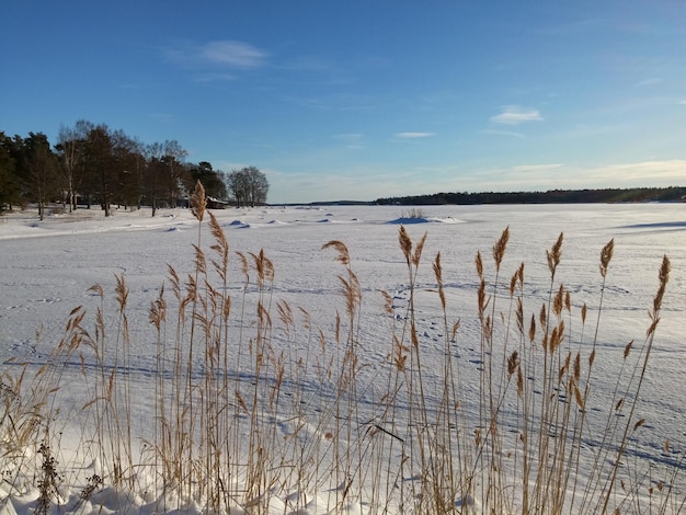 Widok na jezioro na tle nieba