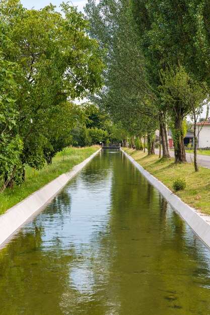 Zdjęcie widok na jezioro w parku