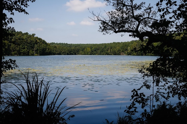 Widok na jezioro w pobliżu doliny Schlaubetal w Brandenburgii w Niemczech