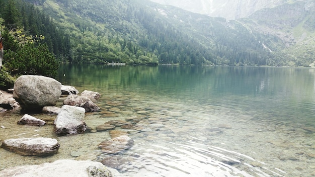 Widok Na Jezioro Z Górami W Tle