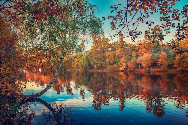 Widok na jezioro z jesiennymi żółtymi i zielonymi drzewami i błękitnym niebem naturalnym sezonowym tłem