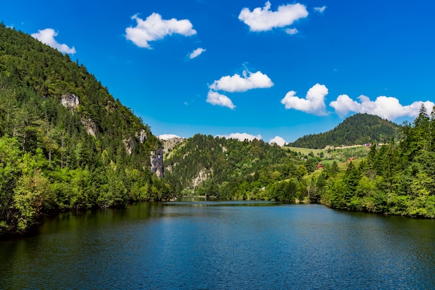 Widok na jezioro Zaovine w Serbii