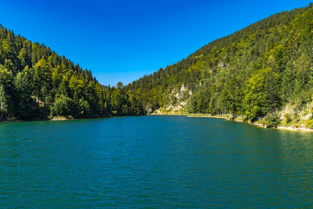 Widok na jezioro Zaovine w Serbii