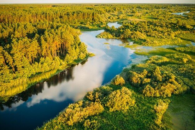 Zdjęcie widok na jezioro