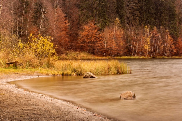 Widok na jezioro