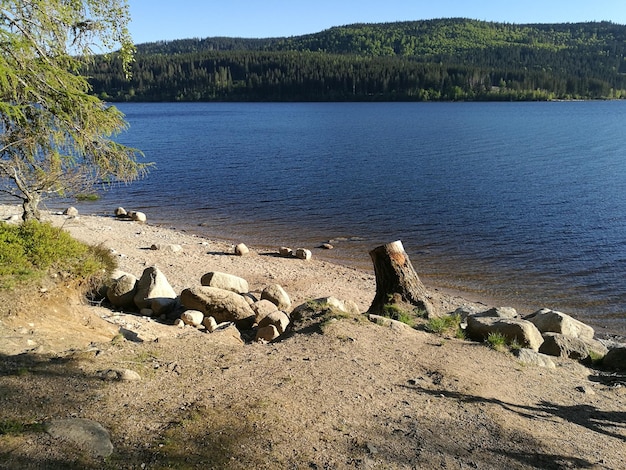 Zdjęcie widok na jezioro