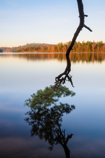 Widok na jezioro
