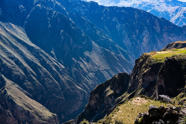 Widok na Kanion Colca w Peru