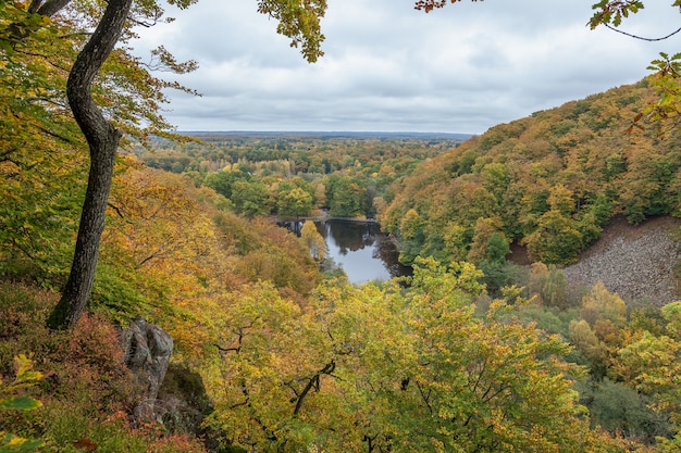Widok na kolorowy las jesienią w słoneczny dzień odzwierciedlony w spokojnych wodach jeziora.