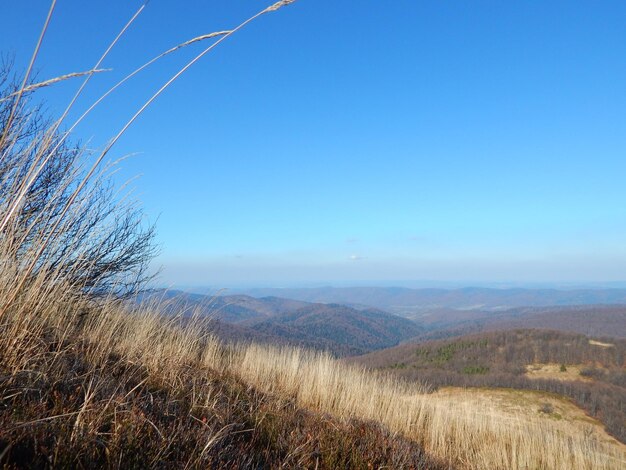 Widok na krajobraz na tle jasnego niebieskiego nieba