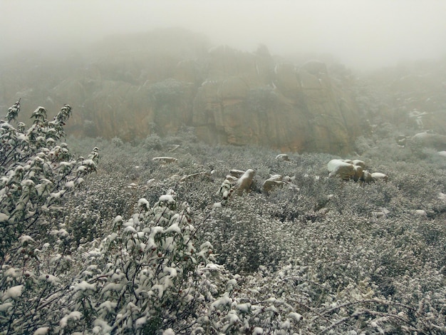 Widok na krajobraz śnieżny i mgłowy