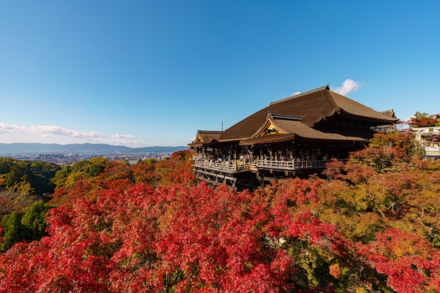 Widok na krajobraz świątyni KiyomizuderaHigashiyama z klonem czerwonym w Kioto w Japonii w sezonie jesiennym Czerwone liście jesienne