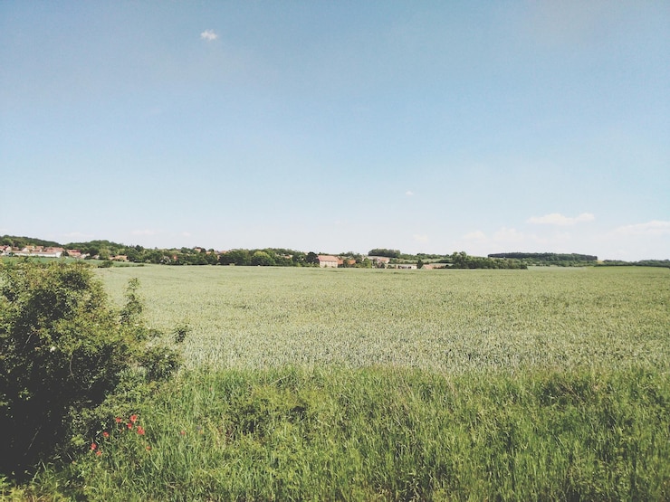 Zdjęcie widok na krajobraz wiejski