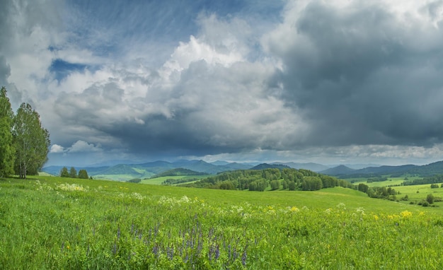 Widok na letni dzień w górach zielone łąki zbocza górskie i wzgórza