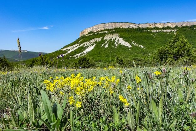 Widok na malownicze góry Krymskie w pobliżu jaskiniowego miasta TepeKermen Krym Rosja