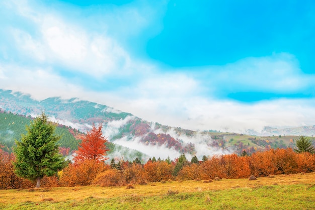 Widok na mglisty jesienny dzień w górach i piękną dolinę z kolorowymi drzewami
