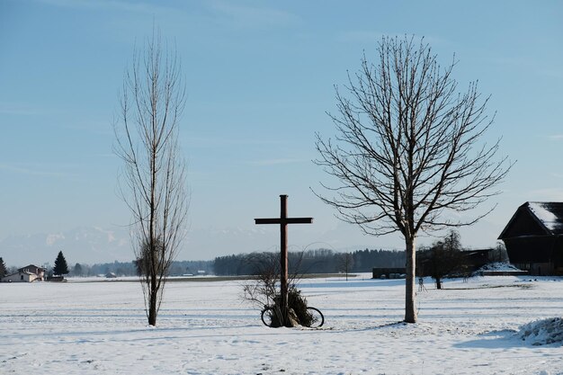 Zdjęcie widok na morze na tle nieba