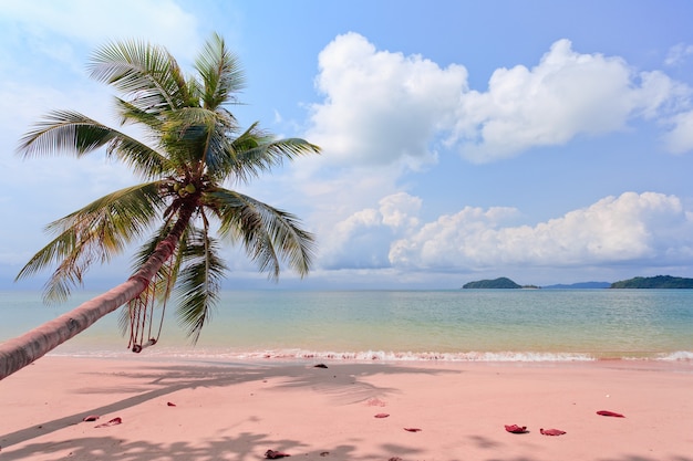 Widok na morze z palmą kokosową