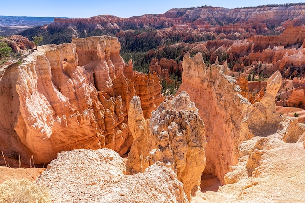 Widok na niesamowite formacje z piaskowca hoodoos w malowniczym Parku Narodowym Bryce Canyon w słoneczny dzień. Utah, Stany Zjednoczone
