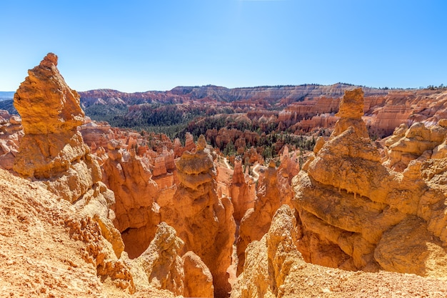 Widok na niesamowite formacje z piaskowca hoodoos w malowniczym Parku Narodowym Bryce Canyon w słoneczny dzień. Utah, Stany Zjednoczone