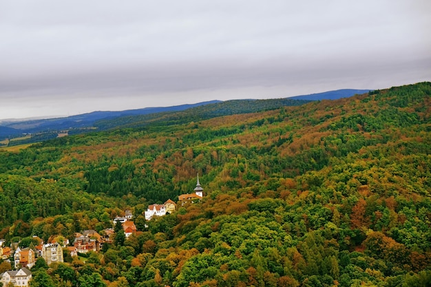 Widok na nowoczesne miasto i zielone drzewa