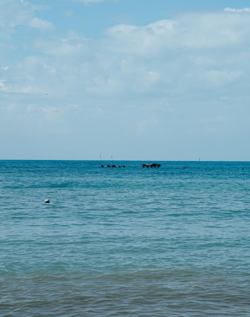 Widok na ocean i błękitne niebo