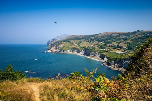 Widok na ocean i klify w Laredo Cantabria w Hiszpanii