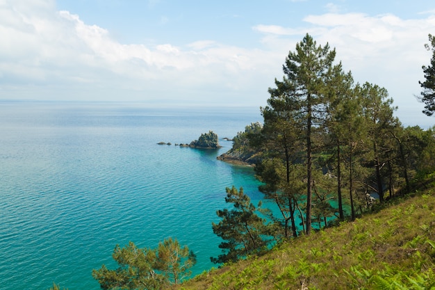 Widok na ocean w naturze