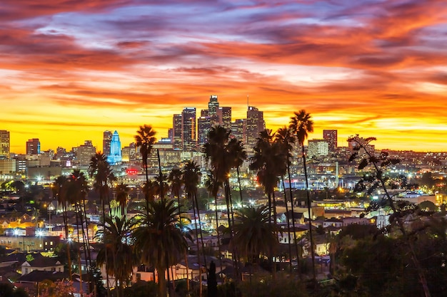 Zdjęcie widok na panoramę centrum los angeles z palmami o zachodzie słońca w kalifornii w stanach zjednoczonych