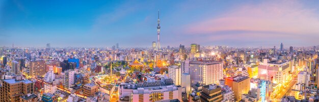 Widok na panoramę Tokio o zachodzie słońca w Japonii.