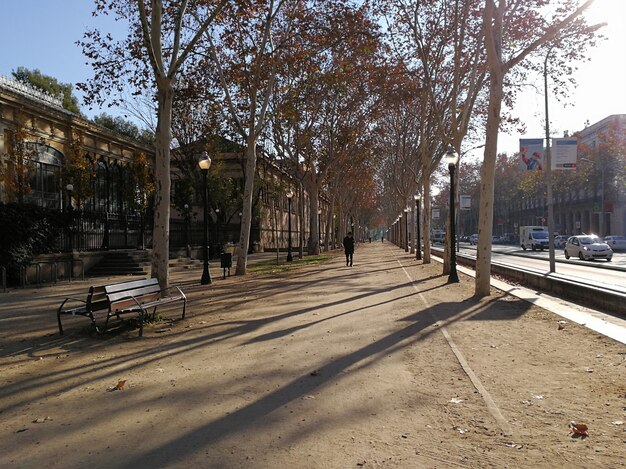 Zdjęcie widok na park ciutadella w barcelonie.