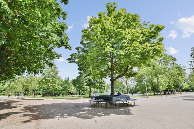 Widok na park miejski