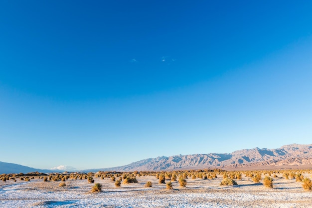 Widok na park narodowy doliny śmierci zimą.