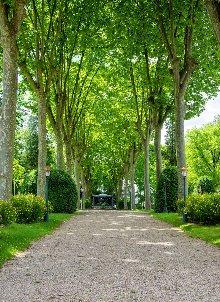 Zdjęcie widok na park oloron sainte marie we francji