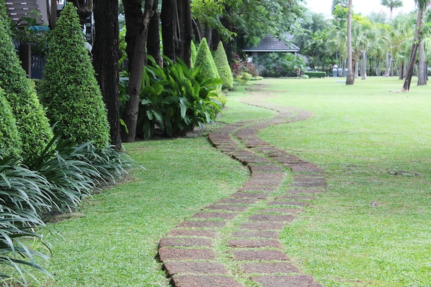 Zdjęcie widok na park