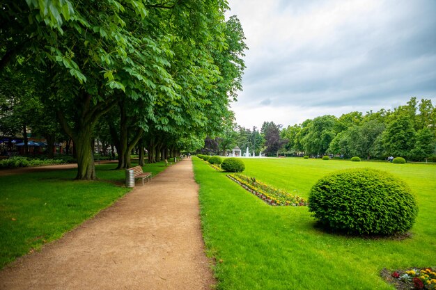 Zdjęcie widok na park