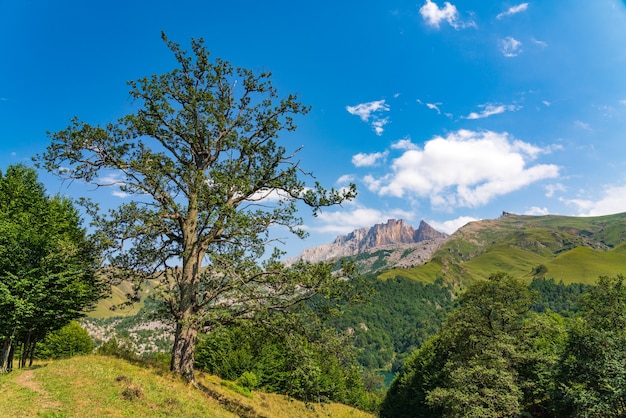 Widok na pasmo górskie Kapaz