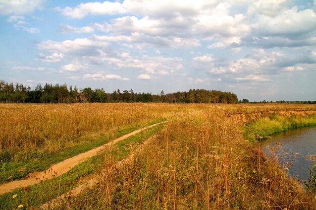 Widok na piękną rzekę i las