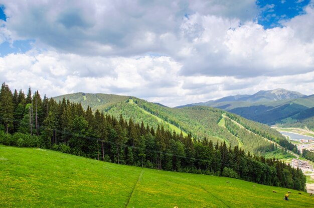 Widok na piękne Karpaty latem